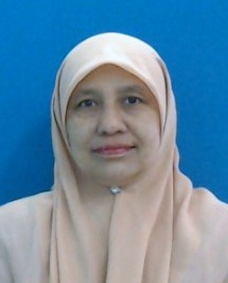 Madam Siti Nora Mohamed