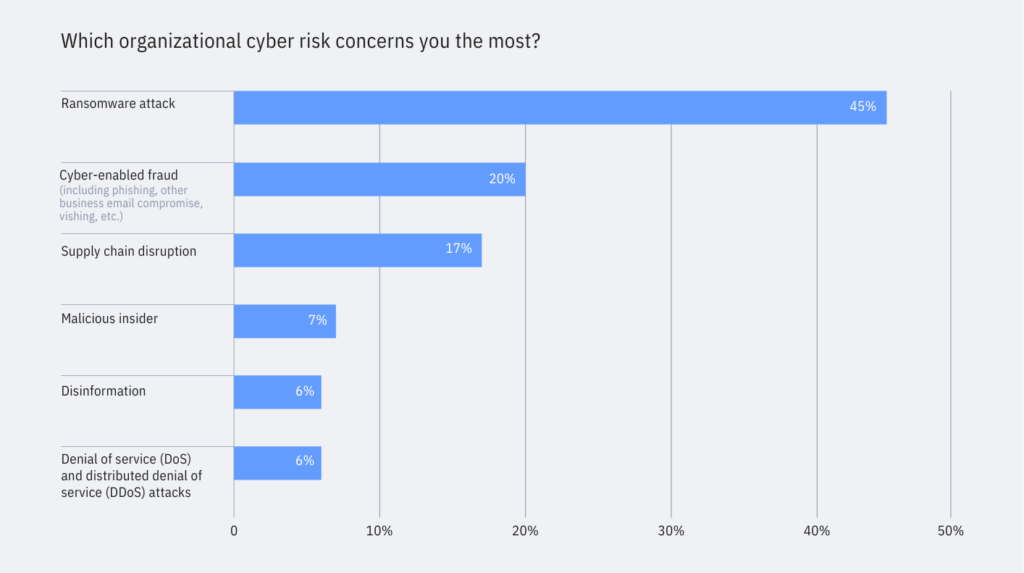 Organizational cyber risks ranked – 2025